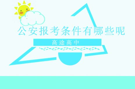 2024年公安系统招录条件深度解读