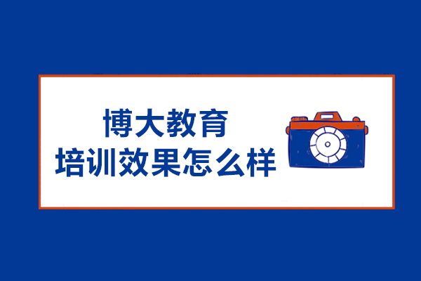 长春博大学教培实力深度剖析
