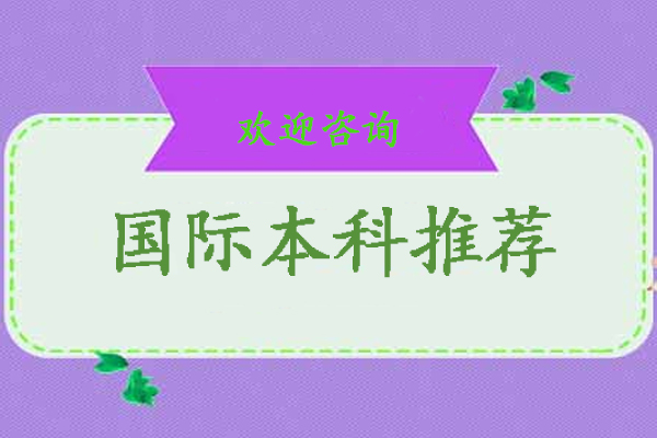 北京国际本科深度解析