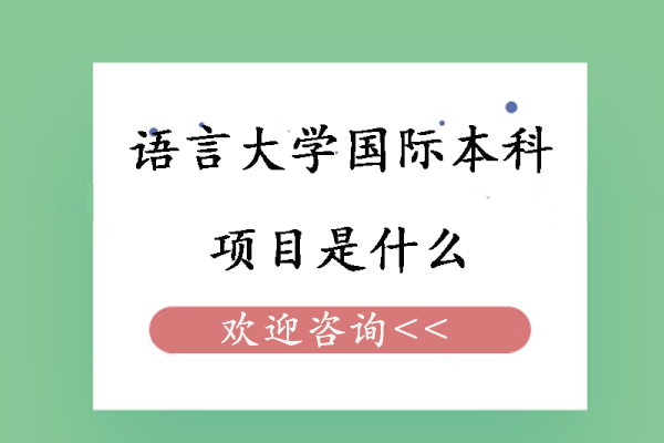 北京语言大学国际本科项目是什么