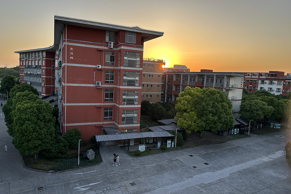 学校夕阳环境相册