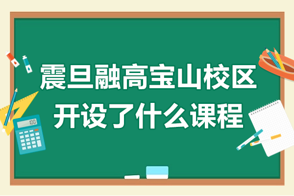 上海震旦融高宝山校区开设了什么课程