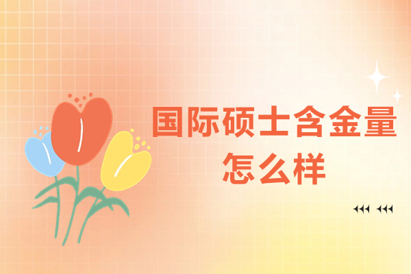 国际硕士含金量怎么样-国际硕士含金量高吗