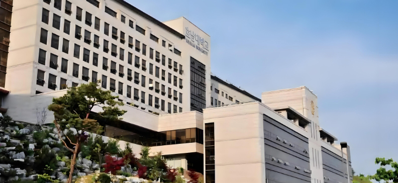 韩国湖南大学国际本科