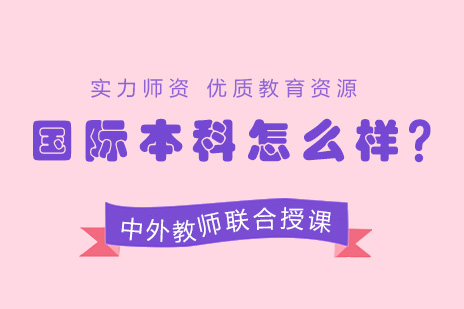 上海外国语大学国际本科项目深度解析