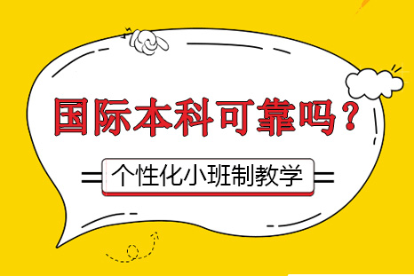 上海外国语大学国际本科项目深度解析