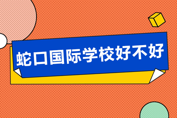 深圳国际化教育新标杆深度解析