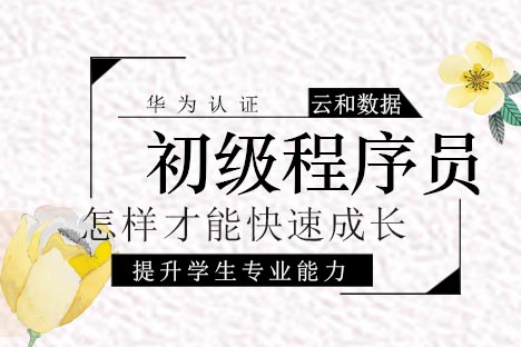 程序员成长全攻略：突破职业瓶颈的九大核心策略