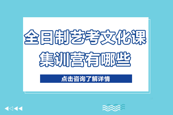 上海全日制艺考文化课集训营有哪些