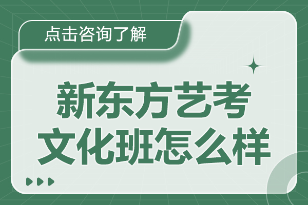 上海新东方艺考文化班怎么样