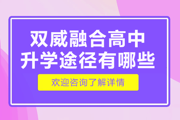 上海双威融合高中四大升学通道深度解析