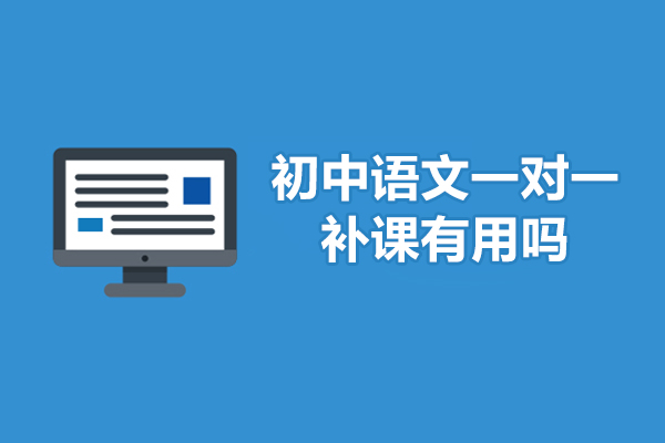 初中语文一对一补课有用吗-初中语文有必要上一对一吗