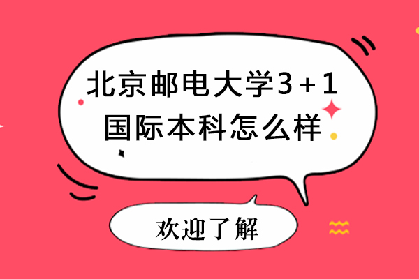 北京邮电大学国际本科项目深度解析