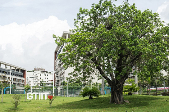 学校校区环境