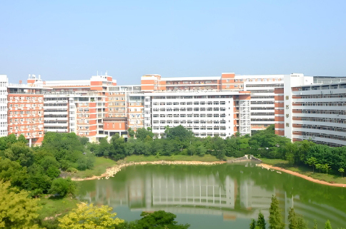 学校校区环境