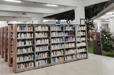 学校图书馆环境
