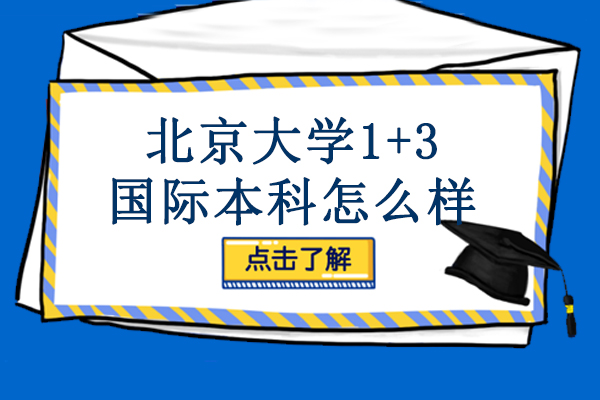 北京大学1+3国际本科怎么样