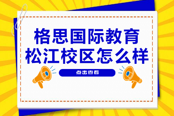 松江国际教育标杆机构深度解析