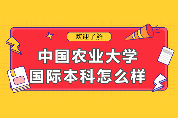 中国农业大学国际本科深度解析