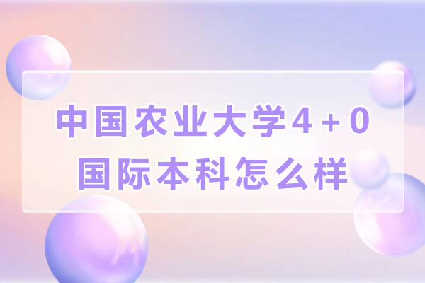 中国农业大学4+0国际本科怎么样