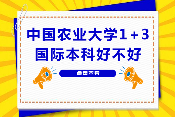 中国农业大学1+3国际本科好不好