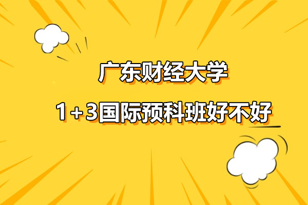 广东财经大学国际预科深度解析