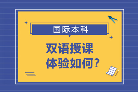 国际财经学院双语教学特色深度解析
