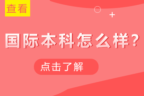 上海财经大学国际本科深度解析