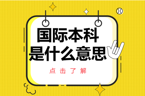 国际本科项目深度解析