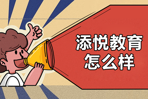 上海添悦教育深度解析