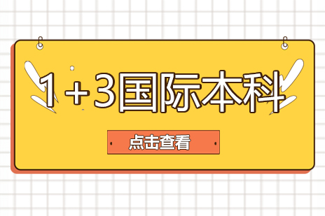 上财大国际本科1+3项目深度解析