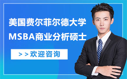 美国费尔菲尔德大学MSBA商业分析硕士培训班