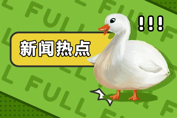 学平面设计需要什么基础-平面设计需要学习什么