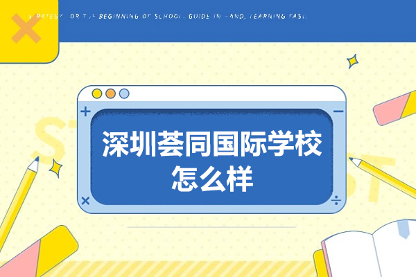 深圳荟同教育全景透视