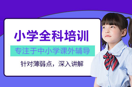 小学全科培训班