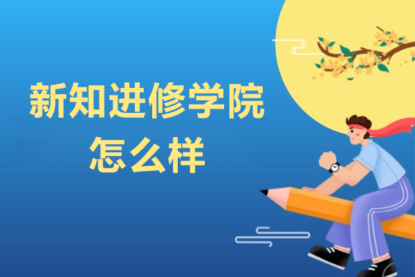 上海市新知进修学院深度解析