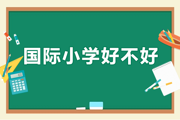 深圳曼校国际小学深度解析