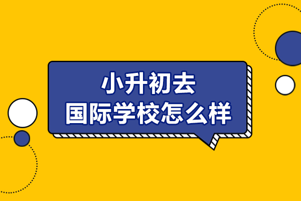 小升初国际教育路径深度解析