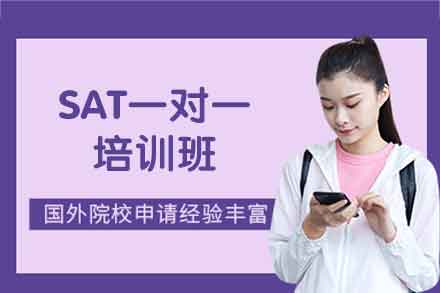 郑州SAT一对一培训班