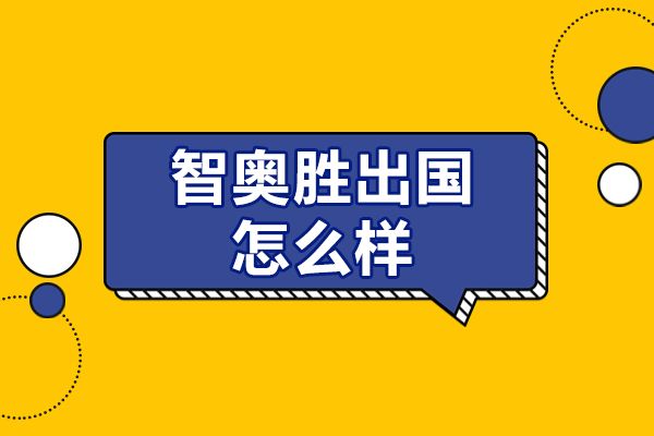 上海智奥胜出国中介深度解析