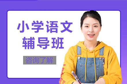 济南小学语文辅导班