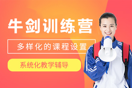 深圳牛剑训练营