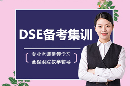 深圳DSE备考集训