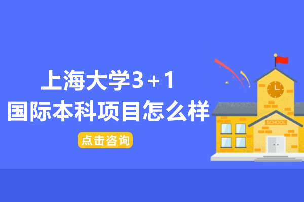 上海大学3+1国际本科项目怎么样