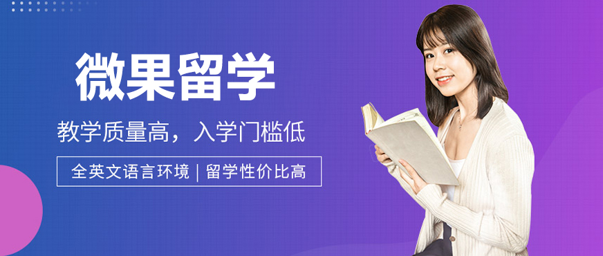微果留学顾问团队工作场景