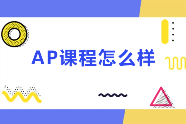 广州AP课程深度解析