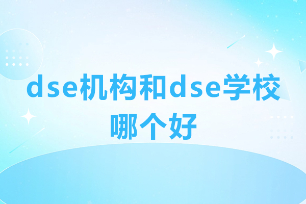 深圳DSE学习路径深度解析