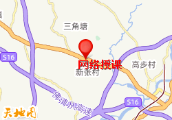 网络授课