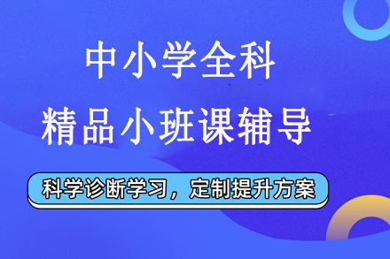 中小学全科精品小班课