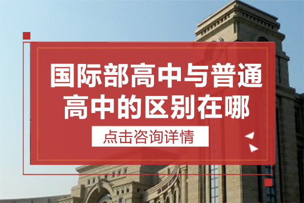 國際學(xué)校與普通高中教育路徑對比指南